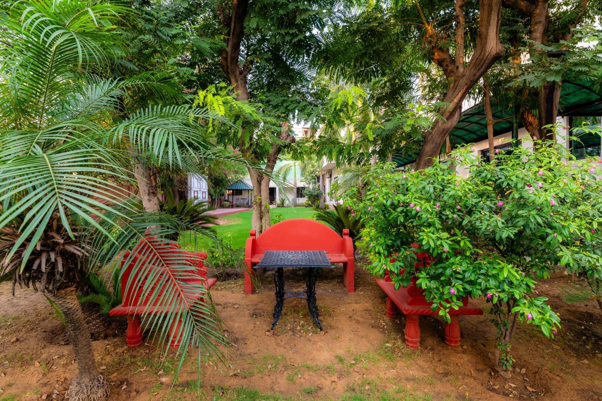 Nine Palms Villa Jaipur Ngoại thất bức ảnh